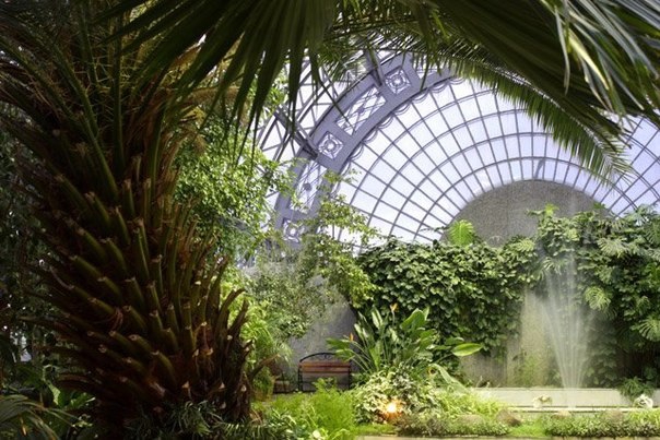 Living world in St-Petersburg