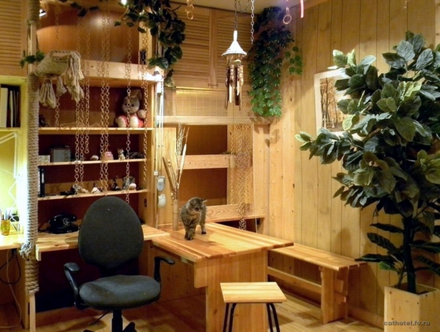 Mini hotel Jungle
