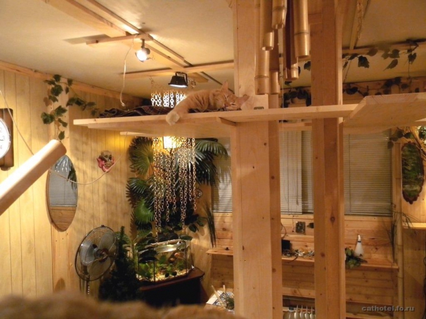 Mini hotel Jungle