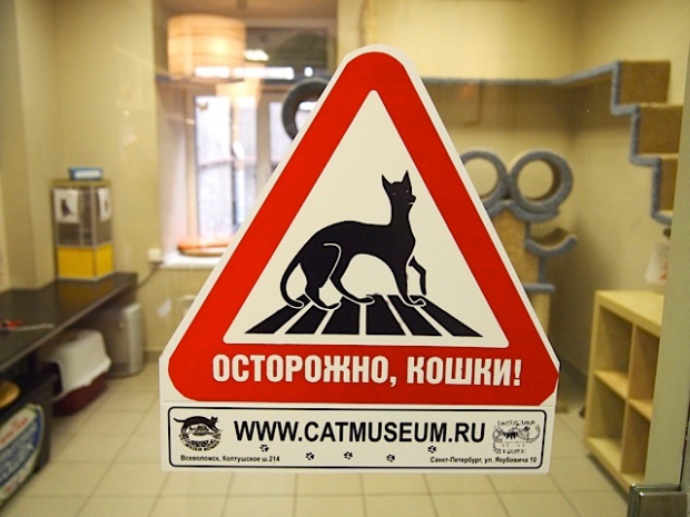 Republic of Cats, SP
