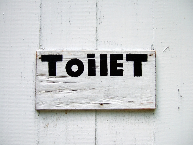 Toilet Day